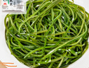 竹島壓縮海帶絲圓餅大連特產(chǎn)烘干海帶片干貨即食非鹽漬涼拌菜泡發(fā)昆布 22gx20片（一片能泡一大盤） 曬單實拍圖