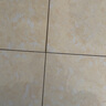 ergo7866瓷磚空鼓膠強(qiáng)力瓷磚膠墻地磚起翹修復(fù)劑注射縫隙灌膠650ml 曬單實(shí)拍圖