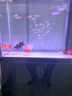 漢霸 超白玻璃魚缸生態(tài)底濾客廳大型家用智能金魚缸水族箱2025新款 亮黑色 靠墻0.8米X36cm寬X146cm高 曬單實(shí)拍圖