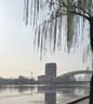中諾C199固定電話機(jī)家庭家用有線座機(jī)商務(wù)辦公室座式單機(jī)來電顯示 黑色 曬單實(shí)拍圖