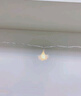 爾山集 LED燈串燈玫瑰裝飾燈照片墻布置生日七夕節(jié)小彩燈婚房室內室外房 燈串暖白【玫瑰 USB長亮款】3米 曬單實拍圖