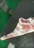 羊家旺寧夏灘羊肉整半只10斤新鮮現(xiàn)殺羔羊整半只端午禮盒源頭直發(fā) 曬單實拍圖