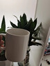 CCKO馬克杯陶瓷咖啡杯家用辦公室大號水杯茶杯創(chuàng)意早餐杯牛奶杯沖泡杯 340ml陶瓷咖啡杯（啞光白） 曬單實(shí)拍圖