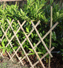 序聲 戶(hù)外伸縮竹籬笆柵欄庭院竹片圍欄護欄月季爬藤架民宿農家樂(lè )裝飾 青竹（防腐處理） 高100*200cm可伸縮(帶立柱) 曬單實(shí)拍圖