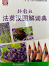 外教社法英漢圖解詞典/“一帶一路”社會(huì)文化多語(yǔ)圖解系列詞典 曬單實(shí)拍圖