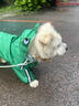 OSKV狗狗雨衣四腳防水全包寵物雨天防臟神器小中大型犬雨天衣服雨披 青蛙款2XL(建議15-20斤) 38.8 曬單實(shí)拍圖