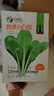 唯友蔬菜種子大全四季播種陽(yáng)臺盆栽農家小菜園香菜生菜菠菜小蔥易種 四季小白菜 約1100粒 曬單實(shí)拍圖