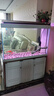 森森（SUNSUN）魚(yú)缸水族箱生態(tài)造景玻璃底濾大型魚(yú)缸客廳包安裝 超白隔斷1.2米長(cháng)42cm寬(雙色可選)帶禮包 曬單實(shí)拍圖