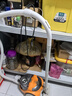 桃興盛適配飛利浦吸塵器配件FC5820 FC5822 FC5225 FC5833軟管吸塵管加長螺紋管 曬單實(shí)拍圖