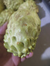 正宗牛奶鳳梨釋迦新鮮當(dāng)季水果大果番荔枝佛頭摩尼果整箱順豐包郵 特大果帶箱3斤【3-5個(gè)】 曬單實(shí)拍圖