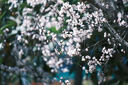 騰龍（Tamron）B061X 18-300mm F/3.5-6.3 Di III-A VC VXD防抖遠(yuǎn)攝大變焦微單鏡頭旅游（富士X口） 曬單實拍圖