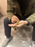 瑞之緣手表男款正品金色手表多功能高檔時(shí)尚男士品牌腕表石英表名表防水金黑鋼【進(jìn)口機芯-十年不壞】 曬單實(shí)拍圖