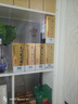 茅臺（MOUTAI） 飛天 醬香型白酒 53度 500ml *6整箱裝  年份隨機發(fā)貨 53度 500mL 6瓶 曬單實拍圖