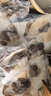 東上御品 山東 鮮凍三去開背大魷魚5斤凈重 去牙去頭去內(nèi)臟年貨-源頭直發(fā) 曬單實拍圖