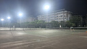 天龍網(wǎng)球訓(xùn)練球801603 復(fù)活X-ace初學(xué)專業(yè)高級(jí)比賽體育課訓(xùn)練球 603六個(gè)（贈(zèng)網(wǎng)袋） 曬單實(shí)拍圖