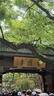 VIGG【明星同款】甜心銀項(xiàng)鏈女士鎖骨鏈吊墜七夕情人節(jié)禮物生日送女友 甜心項(xiàng)鏈（單條）【永生花禮盒】 曬單實(shí)拍圖