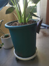 愛(ài)麗思花盆塑料深型樹(shù)脂花盆特大號多肉花盆種花種菜盆10號軍綠色 曬單實(shí)拍圖