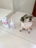 諾凡爾中華田園犬沐浴露土狗幼犬專(zhuān)用洗澡用品殺菌除臭寵物狗狗香波浴液 中華田園犬沐浴露500ML 日本品牌直營(yíng) 中華田園犬專(zhuān)用 曬單實(shí)拍圖