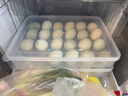 愛麗思（IRIS）雞蛋盒冰箱雞蛋收納盒家用雞蛋儲物盒冰箱保鮮盒廚房蛋架托裝絲 【2個裝】單層（可裝48枚） 曬單實拍圖