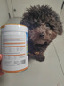 南天陽(yáng)光羊奶粉益生菌鈣粉發(fā)育寶腸胃寶幼貓幼犬貓咪狗狗營(yíng)養補充劑 鈣磷粉 曬單實(shí)拍圖