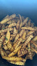 胖東來品質(zhì)貴州特產(chǎn)油辣椒油潑辣子香辣下飯涼拌調(diào)料紅油辣椒醬 蒜香油辣椒2斤裝【中辣】 曬單實拍圖