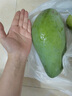 鑫果滋【順豐】海南三亞大青芒新鮮水果特大芒果當季凱特青皮芒整箱 5斤特大果 普通裝 （單果1.5-2.5斤） 曬單實(shí)拍圖