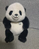 藍詩諾仿真熊貓公仔國寶熊貓抱枕大號毛絨玩具憨憨熊貓玩偶兒童女生禮物 憨憨熊貓（禮盒） 50厘米（配網紗） 曬單實拍圖