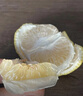 正宗象山青橘子日本春香柚柑橘新鮮桔子水果象山特產(chǎn)黃金貢柑桔 中大果 精選中大果 5斤 曬單實拍圖