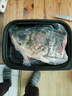 安峰山花鰱魚頭微山湖鮮活胖頭魚新鮮活魚現(xiàn)殺花鰱魚大鰱魚鮮魚淡水魚 魚頭2斤1只 胖頭魚 曬單實(shí)拍圖