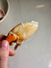 三門(mén)青蟹鮮活膏蟹公蟹肉蟹紅鱘猷蠓海鮮水產(chǎn)精品禮盒包肥包活到家 吃肉公蟹4只裝【7-8兩/只】 浙江三門(mén)發(fā)貨+順豐包郵+包活到家 曬單實(shí)拍圖