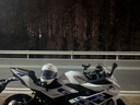 SHOEI Z8摩托車頭盔防霧街道騎行全盔壁畫亮白 ORIGAMI TC-5【千紙鶴】 M 曬單實拍圖