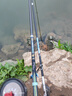 紅狼（RED WOLF）輕量小綜合臺釣竿輕硬黑坑野釣鯽鯉高碳釣魚(yú)竿 6.3m+備用竿稍  曬單實(shí)拍圖