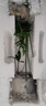 八芽海島羅漢松指尖微型盆栽桌面小綠植迷你拇指好養(yǎng)植物源頭直發(fā)包郵 迷你酒瓶蘭（拇指白盆） 陶瓷盆-帶盆栽好 曬單實(shí)拍圖