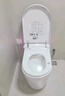 ARRTOTOAI語音鯨魚號智能馬桶一體機全自動泡沫盾內(nèi)置凈水過濾無水壓限制 560D手動翻蓋/內(nèi)置過濾/藍泡潔廁 250/300/350/400坑距-下單請留言 曬單實拍圖