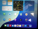 Apple/蘋(píng)果 iPad Pro2022款 11/12.9英寸 M2芯片 高刷 國行零售機 12.9寸 256GWIFI+二代apple pencil 99新 曬單實(shí)拍圖