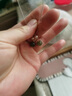 郎凱丹頓天然和田玉耳環(huán)淡水珍珠耳墜溫柔氣質14K包金中式國風耳飾送女友 曬單實拍圖