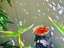 北京AR流沙冰箱貼城市裝飾磁貼故宮天壇頤和園國潮文創(chuàng)旅游景點(diǎn)紀(jì)念品地標(biāo)特色創(chuàng)意禮物教師節(jié)送老師小禮品 AR流沙冰箱貼-故宮之春 曬單實(shí)拍圖