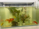 JCZS德國(guó)魚馬桶魚缸糞便分離器過(guò)濾器凈水循環(huán)三合一氧氣泵制氧一體機(jī) 25W【強(qiáng)勁吸糞/魚便分離】 AQ-1500F 曬單實(shí)拍圖