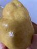 千朵云煙臺太婆梨山東梨子啤梨香蕉梨大頭梨茄梨軟梨新鮮水果生鮮 5斤大果裝 品質好貨 曬單實拍圖