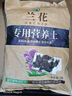 德國品質(zhì)蘭花專(zhuān)用土營(yíng)養土種養君子蘭墨蘭蝴蝶蘭花專(zhuān)用植料松樹(shù)皮 【豪華版】蘭花專(zhuān)用土8升(松樹(shù)皮+石料） 曬單實(shí)拍圖