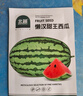 北蔬 大西瓜種子種苗秧南北方四季盆栽種籽 懶漢甜王西瓜種子約20粒 曬單實(shí)拍圖