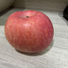 吉縣蘋果山西吉縣紅富士蘋果脆甜冰糖心禮盒水果順豐包郵 【吉縣蘋果】  特大果12顆禮盒裝 曬單實(shí)拍圖