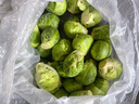 槿饈孢子甘藍500g新鮮抱子甘藍球芽甘藍小包菜卷心甘藍菜 500g 曬單實拍圖