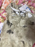 愛特愛（EITIE）【新中式印花連衣裙】V領(lǐng)修身荷葉邊2025夏新款無袖女裙B2507612 墨綠41 L (165) 曬單實拍圖