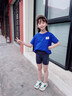 moonkids女童短褲夏季冰絲鯊魚三分褲防走光薄款褲子安全兒童外穿洋氣寶寶 1711灰色五分鯊魚褲 170 cm 曬單實拍圖