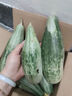冰激淋玉菇甜瓜羊角蜜哈密瓜水果甜瓜新款鮮甜脆甜 【推薦】2.5斤凈重單果300克起 曬單實(shí)拍圖