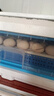 維謙（WEIQIAN）孵化器孵蛋器家用小型全自動(dòng)蘆丁雞孵蛋機(jī)雞鴨鵝孵化箱智能孵化機(jī) 【彩屏顯示】48枚抽拉式雙電 曬單實(shí)拍圖