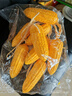 呂姆克仿真藤條蔬菜假花仿真藤蔓影視拍攝擺件道具飯店櫥窗掛件2條7832 曬單實(shí)拍圖
