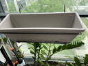 壽禾 壁掛花盆長(cháng)方形霍倫種菜盆蔬菜盆帶盆托陽(yáng)臺養花常用菜盆 灰白色霍倫盆(含支架)2個(gè) 曬單實(shí)拍圖