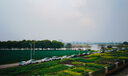 適馬（SIGMA）Art 24mm F1.4 DG DN 全畫幅微單 大光圈廣角定焦鏡頭 風(fēng)光星空夜景（索尼E卡口） 曬單實拍圖